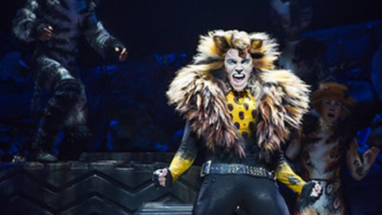 Cats The Movie Will Not Work Why The Jellicle Ball Is Best Danced On Stage Instead Of The Screen Hollywood Insider