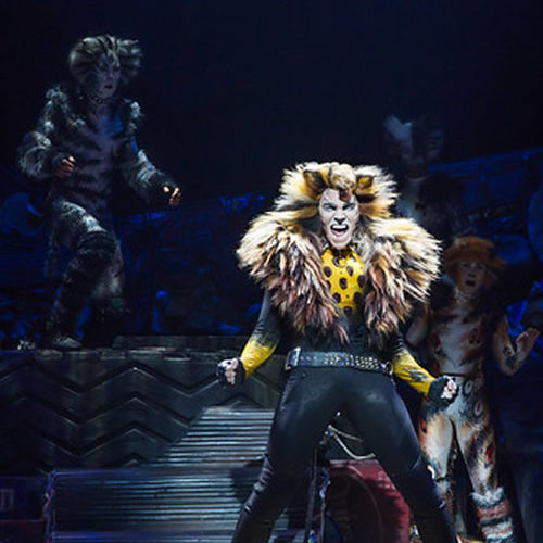 Cats The Movie Will Not Work – Why The Jellicle Ball Is Best Danced On Stage Instead Of The Screen