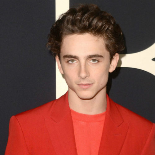 Timothée Chalamet Utilizes His Platform To Save People From Drug Abuse