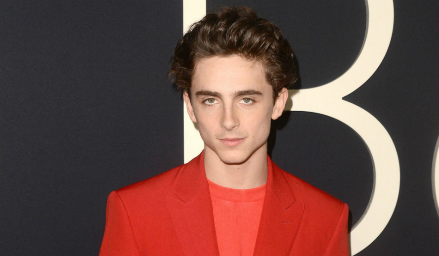 Timothée Chalamet Beautiful Boy