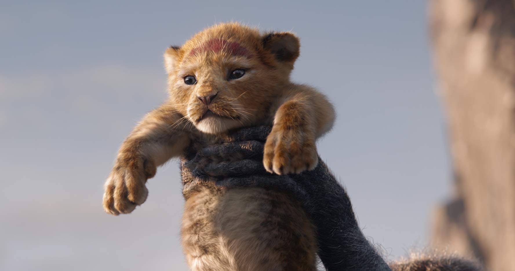 The Lion King Beyonce, Donald Glover, Seth Rogen, Chiwetel Ejiofor, James Earl Jones, John Oliver, Disney