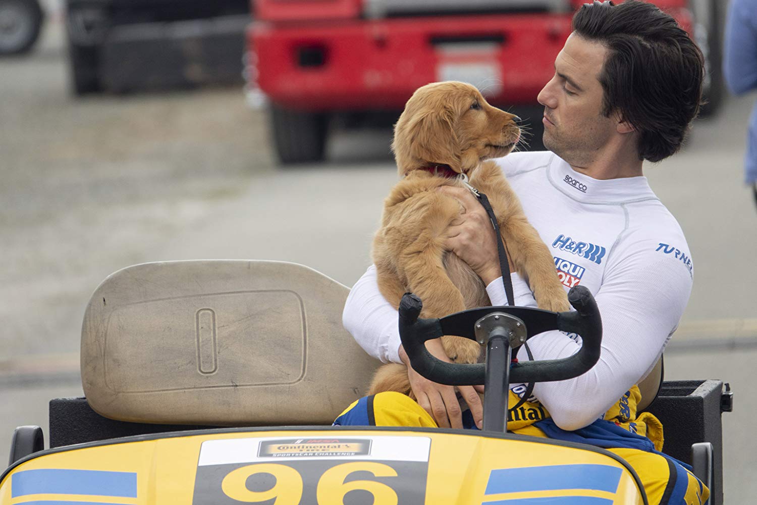 Hollywood Insider review The Art Of Racing In The Rain Milo Ventimiglia, Amanda Seyfried, Kevin Costner, Dog movies
