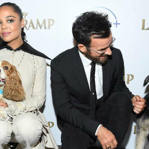 Video: Come Behind The Scenes Of ‘Lady & The Tramp’ To See Tessa Thompson, Justin Theroux, Janelle Monae And Team Film The Live Action Version