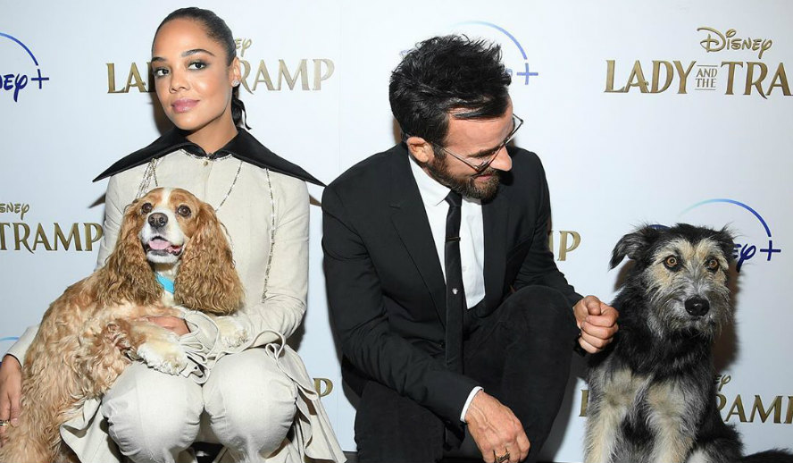 Hollywood Insider Behind The Scenes of Lady & The Tramp, Tessa Thompson Justin Theroux, Disney+
