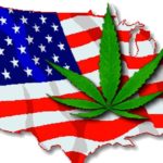 Video: Should Marijuana Be Legalized In All 50 States? Hear From Everyday People And Visitors In USA | Hollywood Insider’s 'Messages From America' – Episode 10