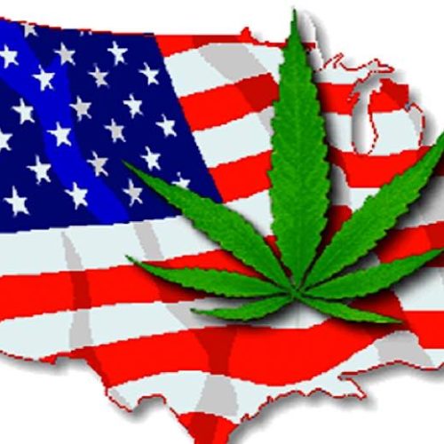 Video: Should Marijuana Be Legalized In All 50 States? Hear From Everyday People And Visitors In USA | Hollywood Insider’s ‘Messages From America’ – Episode 10