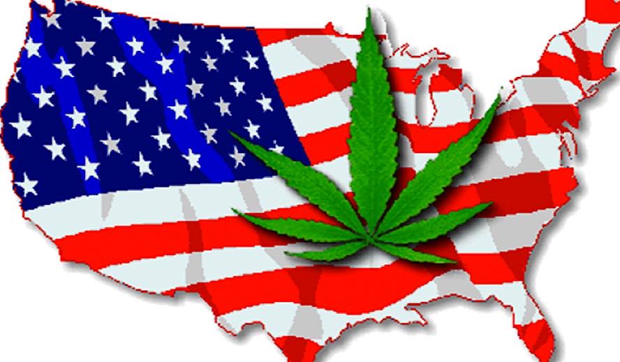 Hollywood Insider Messages From America, Should Marijuana Be Legalized in All 50 States Photo