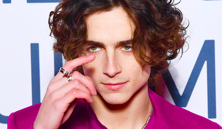 Hollywood Insider Timothée Chalamet 32 Fact-Checked Series Facts