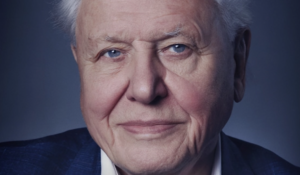 Hollywood Insider A Life on Our Planet, David Attenborough, Netflix,