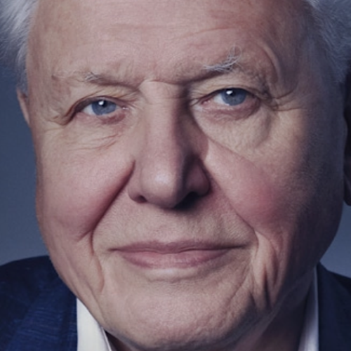 ‘A Life on Our Planet’: By David Attenborough – A Reprise on Regenerating Earth’s Biodiversity