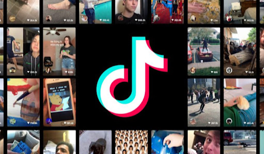 Hollywood Insider Amazing Tiktok Creators