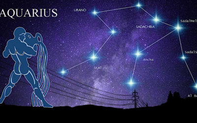 Famous Hollywood Aquarius Celebrities and How They Represent the Astrological Sign