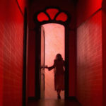 An Analysis: The Poetry of Colors in Dario Argento's 'Suspiria'
