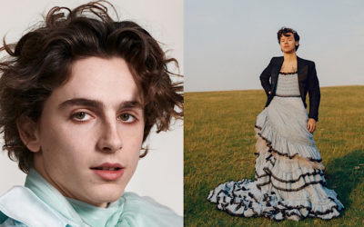 The Rise of Teen Idols Timothée Chalamet & Harry Styles: Destroying Toxic Masculinity