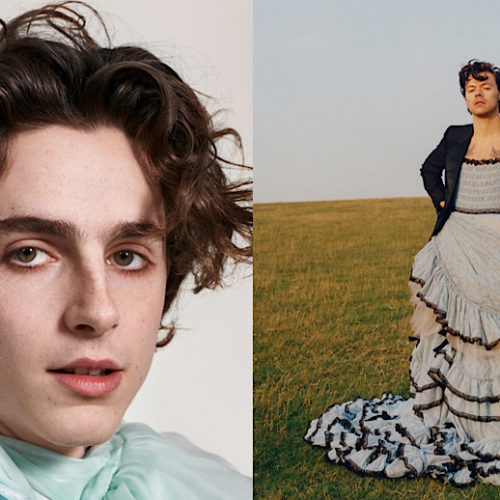 Hollywood Insider Timothee Chalamet and Harry Styles, Destroying Toxic Masculinity