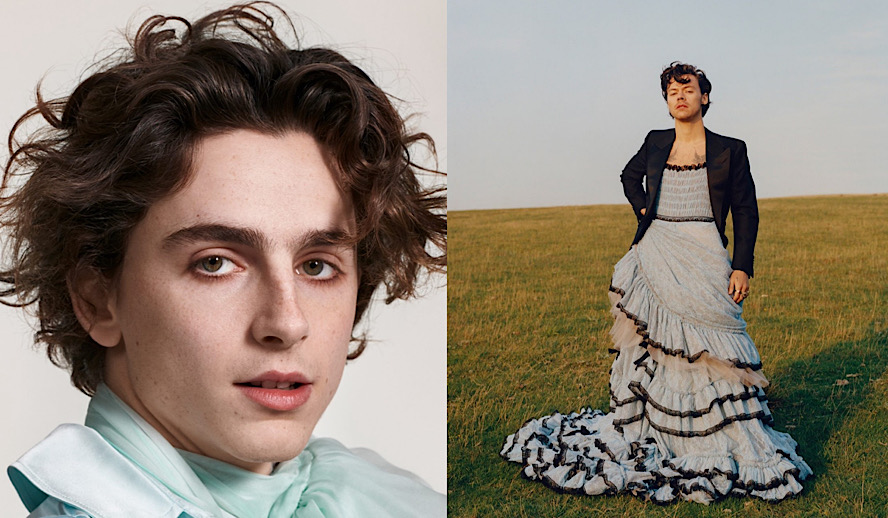 Hollywood Insider Timothee Chalamet and Harry Styles, Destroying Toxic Masculinity