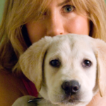 Hollywood Insider Best Animal Movies, Pets in Film