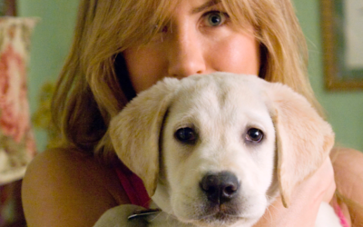10 Must-Watch Animal Movies – Pets in Film: A Look at What Animals Bring to Film