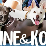 'June & Kopi': A Well-Intentioned Film For Any Fans of Family Pet Dramas and International Cinema