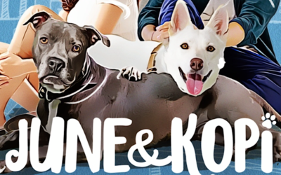 ‘June & Kopi’: A Well-Intentioned Film For Any Fans of Family Pet Dramas and International Cinema
