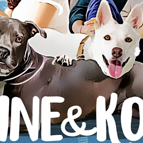 ‘June & Kopi’: A Well-Intentioned Film For Any Fans of Family Pet Dramas and International Cinema