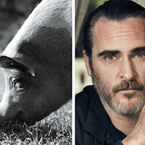 Joaquin Phoenix’s ‘Gunda’ is a Meditative Documentary To Experience Farm Animals On Their Own Terms