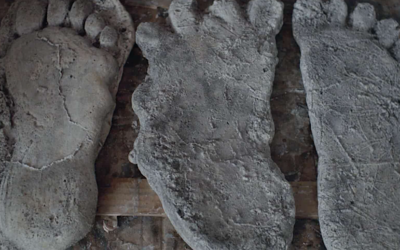 ‘Sasquatch’ is Perfect for Fans of Vice-Style Drug Documentaries