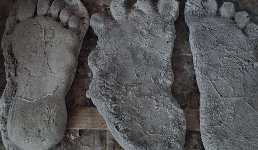 Hollywood Insider Sasquatch Documentary, Hulu, Review Hollywood Insider Sasquatch Documentary, Hulu, Review