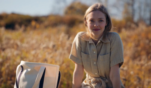 Hollywood Insider Things Heard And Seen Review, Amanda Seyfried, Netflix