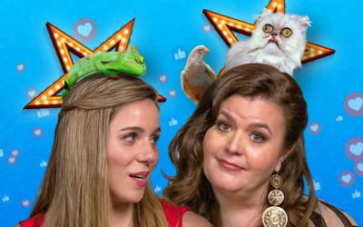 Netflix’s ‘Pet Stars’ – Where Pets Meet Social Media