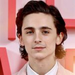 Hollywood Insider Timothée Chalamet, Rise and Journey, Call Me By Your Name