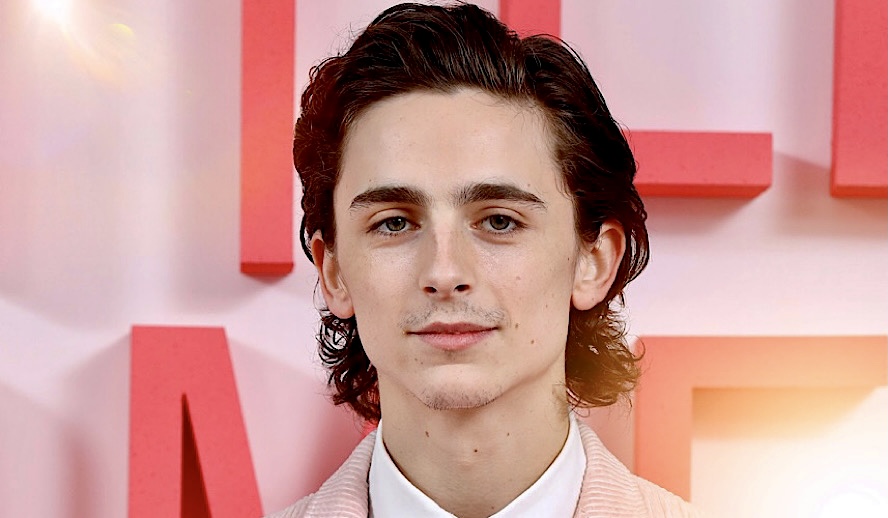 Timothée Chalamet is the New (Nice-Smelling) Face of Bleu De Chanel