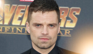 Hollywood Insider Sebastian Stan Rise and Journey, Biography