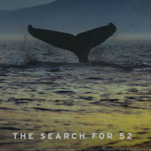 The Loneliest Whale on Earth: Produced By Leonardo DiCaprio – ‘The Loneliest Whale: The Search for 52’ Review