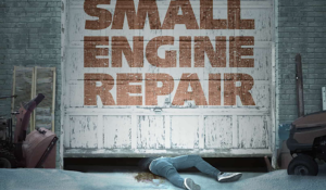 The Hollywood Insider Small Engine Repair Review