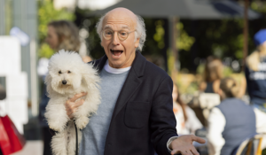 The Hollywood Insider Curb Your Enthusiasm Season 11 Review