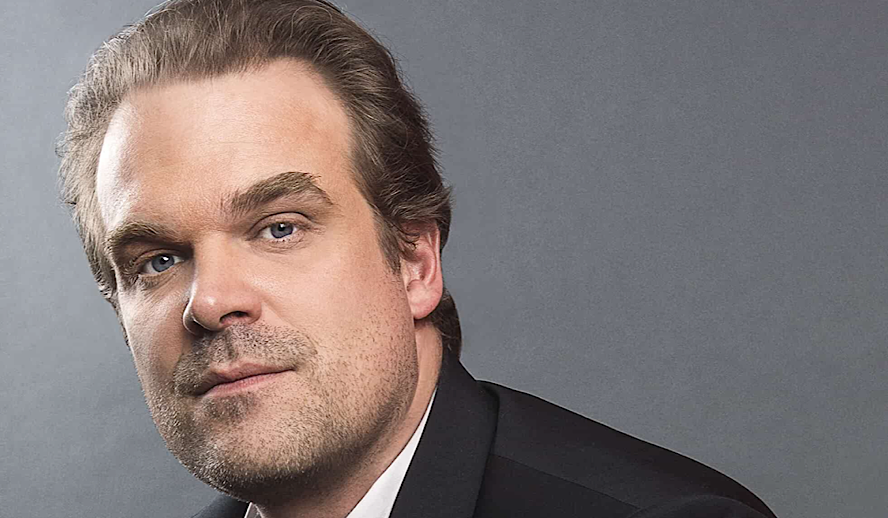 The Hollywood Insider David Harbour Biography