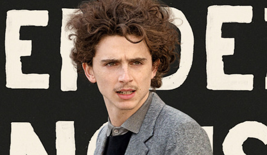 The Hollywood Insider The French Dispatch Review, Timothee Chalamet