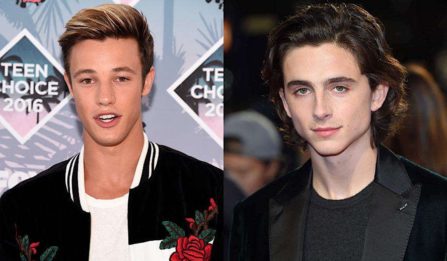 The Hollywood Insider Influencers Vs Celebrities, Cameron Dallas Vs Timothee Chalamet