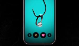 The Hollywood Insider Tindler Swindler Review