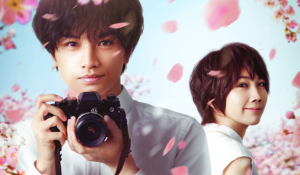 The Hollywood Insider Love Like Falling Petals Review