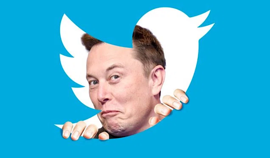 The Hollywood Insider Elon Musk and Twitter