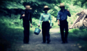 The Hollywood Insider Sins of the Amish Review-