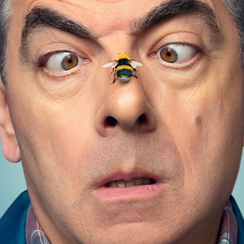 Rowan Atkinson AKA Mr Bean’s ‘Man Vs. Bee’: Slapstick Netflix Miniseries Flies Just Short of Great