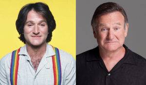 The Hollywood Insider Robin Williams Performances Movies