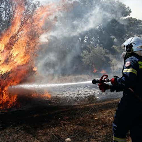 Wildfires Rage in Europe: Can We Agree on Rapid Destructive Climate Crisis Now?