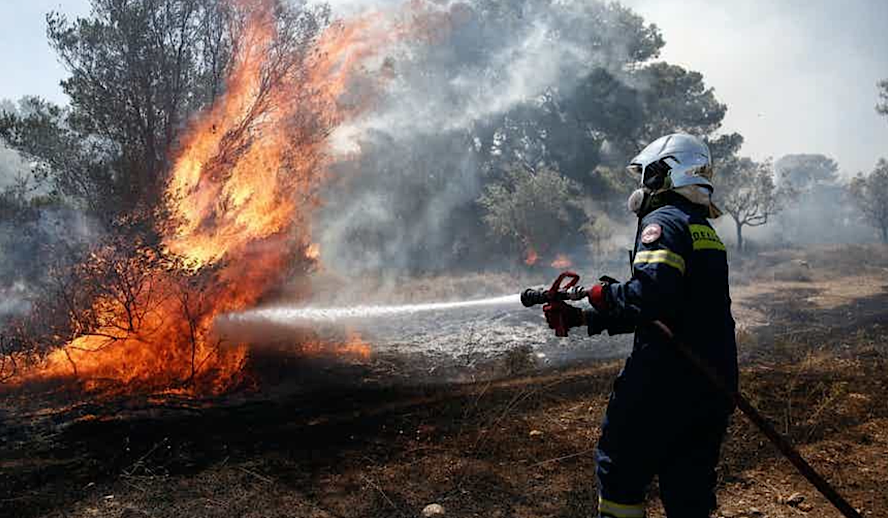 The Hollywood Insider Wildfires in Europe 2022 News The Hollywood Insider Wildfires in Europe 2022 News