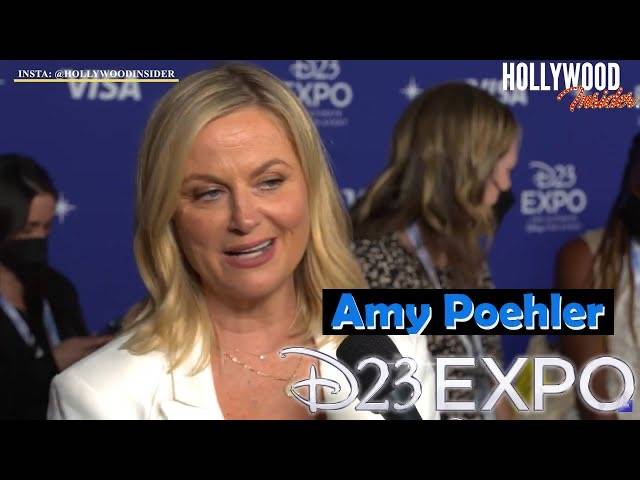The Hollywood Insider Video Amy Poehler Interview