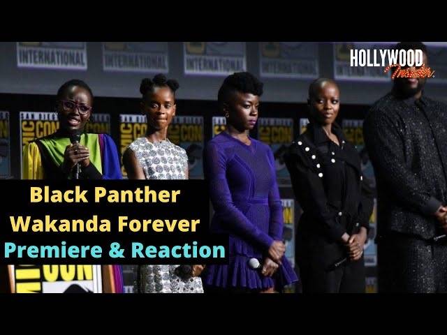 The Hollywood Insider Video Black Panther Wakanda Forever