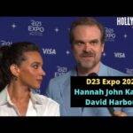 The Hollywood Insider Video Hannah John Kamen and David Harbour Interview